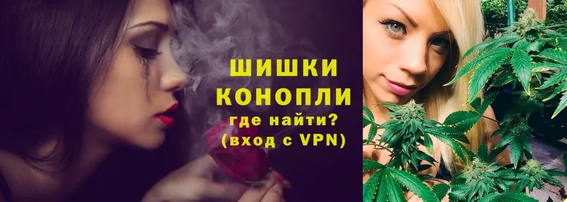 Каннабис OG Kush  Белоозёрский 